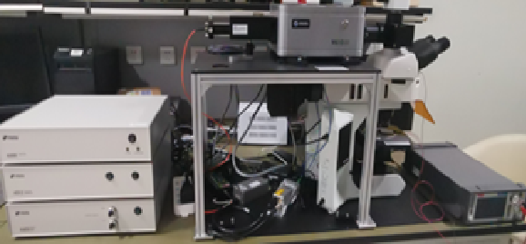 激光共焦荧光寿命成像系统