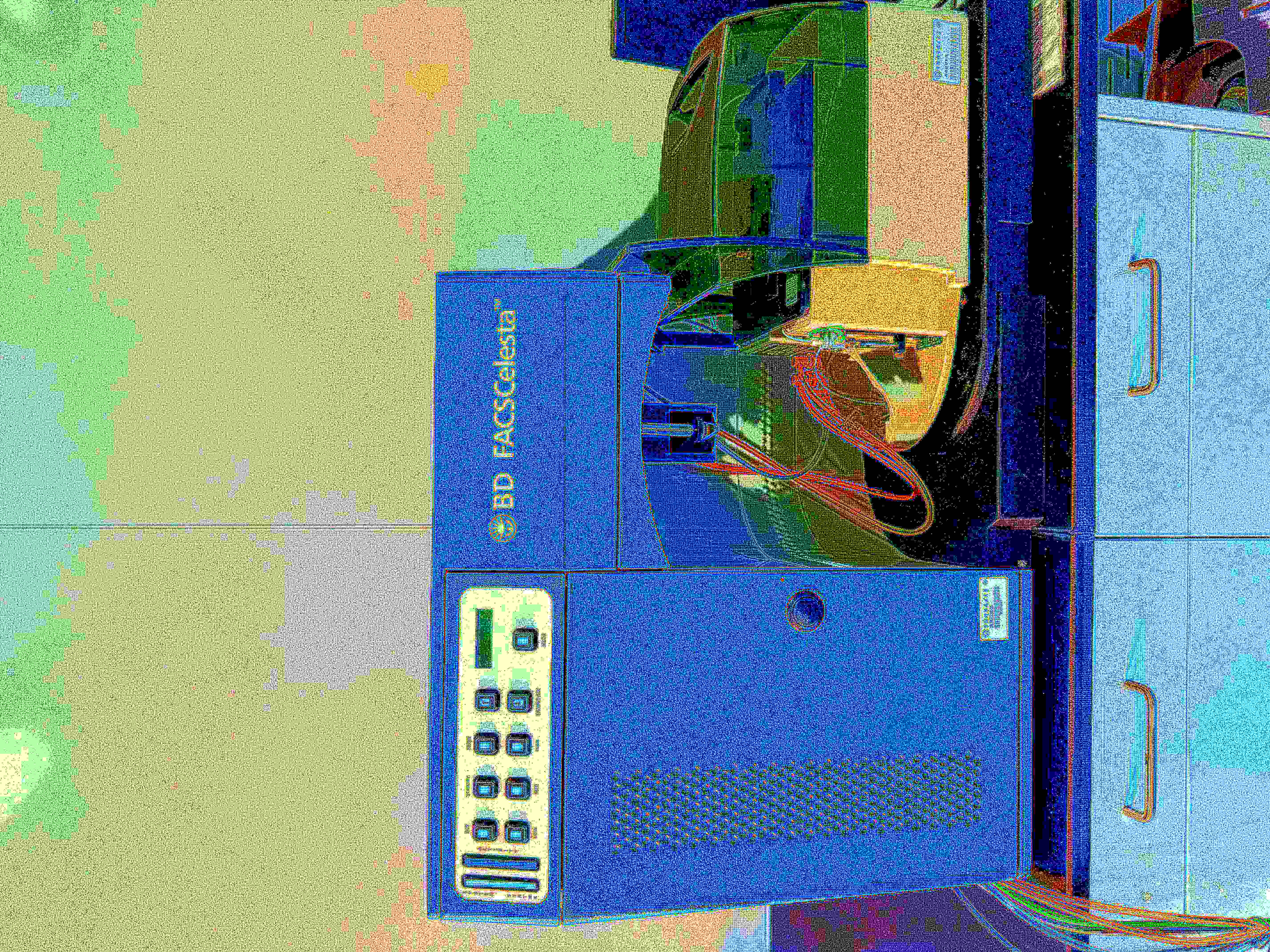 流式细胞仪BD FACSCelesta