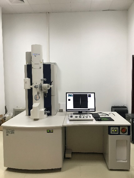 透射电子显微镜