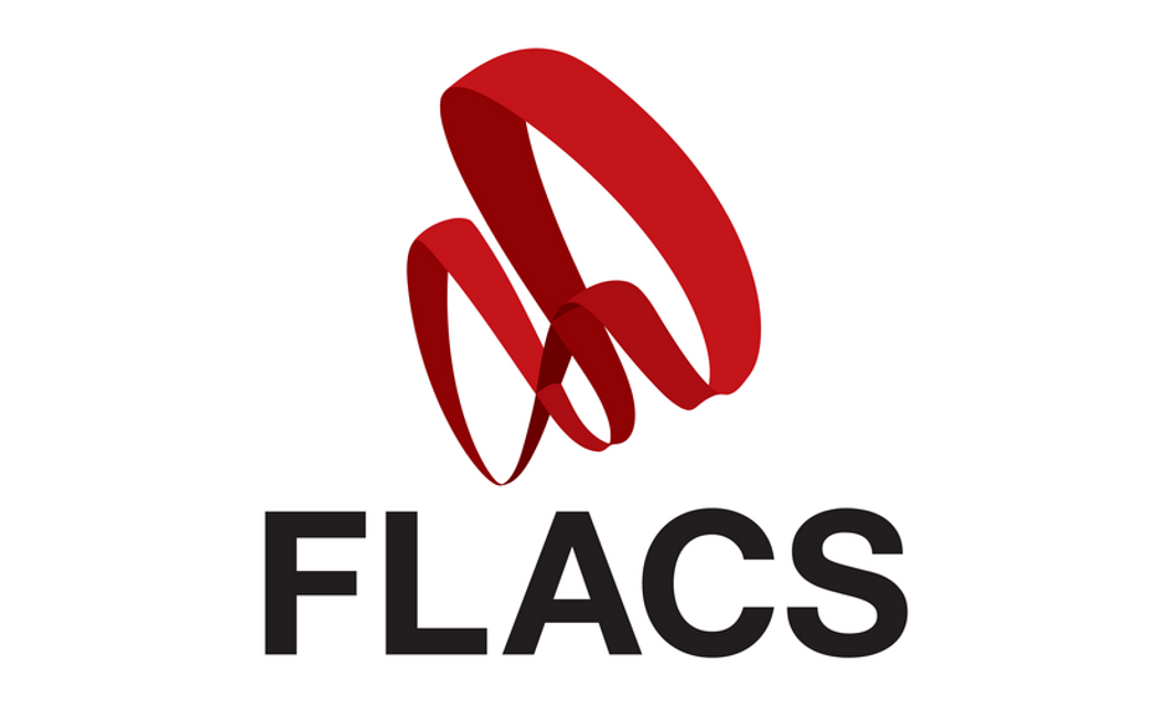 FLACS 爆炸模拟软件