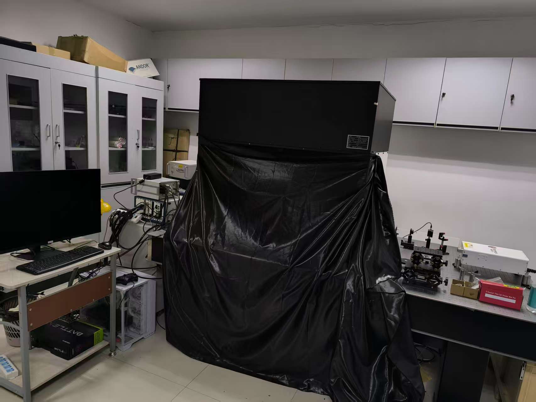 活体大视场双光子成像系统